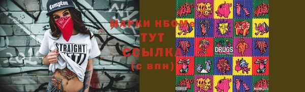 мдпв Богородицк