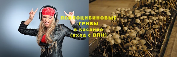 спайс Богородск