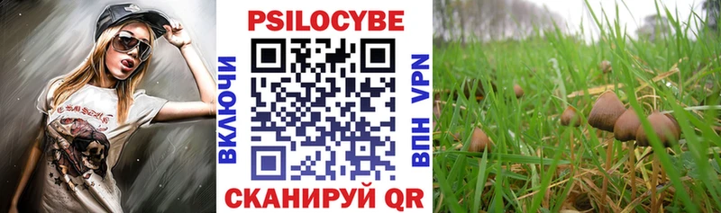 Купить  Артёмовск  Псилоцибиновые грибы Psilocybine cubensis 